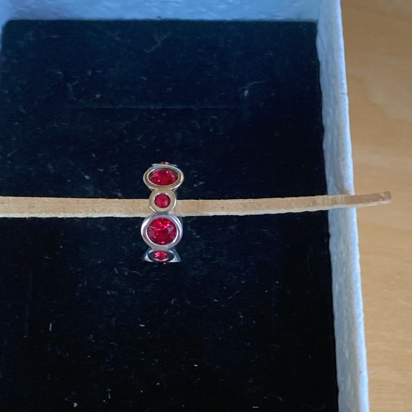 Chamilia January Birthstone Charm - Picture 5 of 8